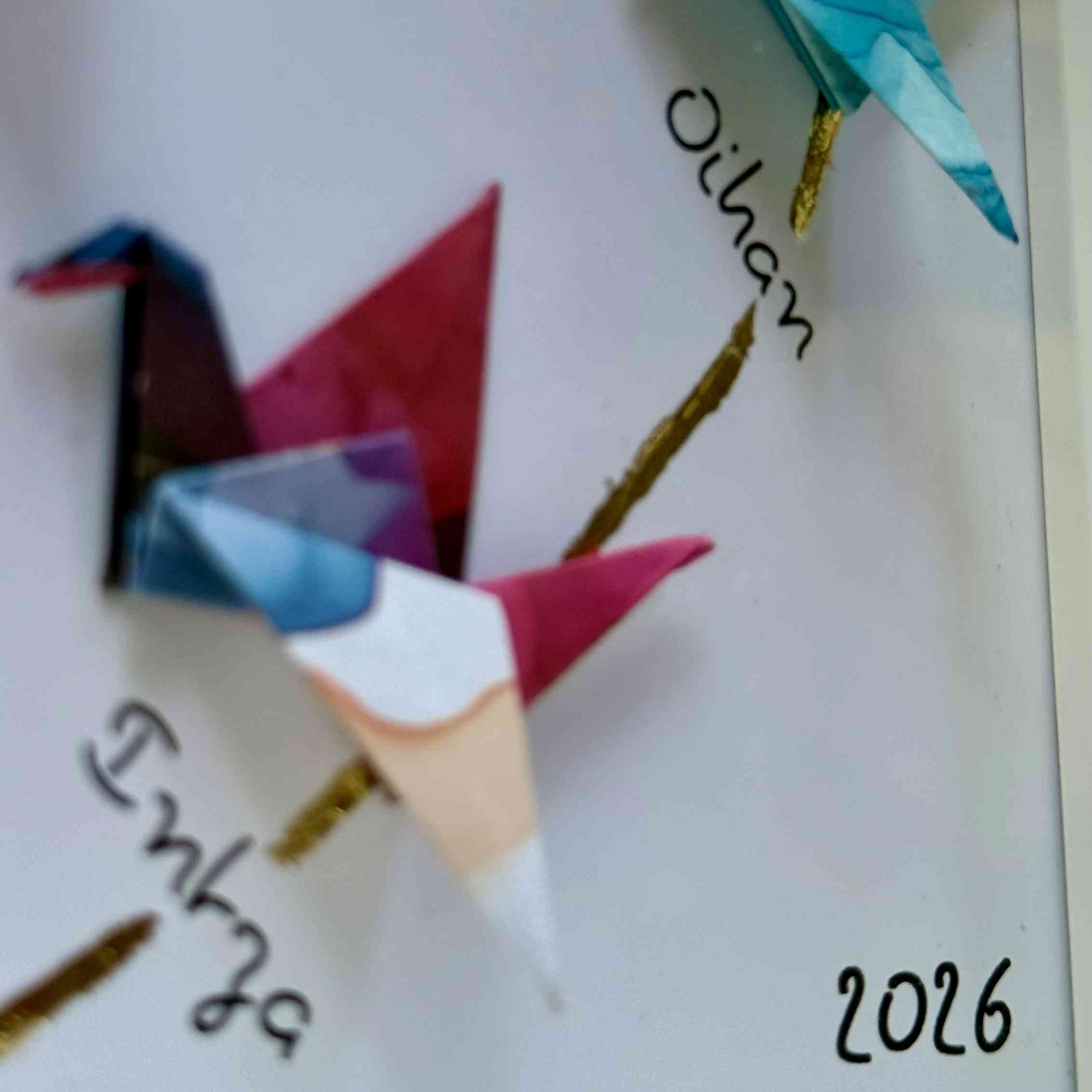 ADN Zoom año | MÖMÖ Lab